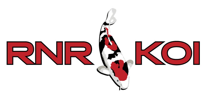 RNR Koi logo