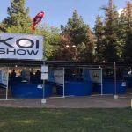 Fresno Koi Show tanks with cover