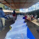 koi in plastic bags on table